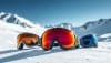 Welche Skibrille für 500 €? Die besten Luxusmodelle im Test