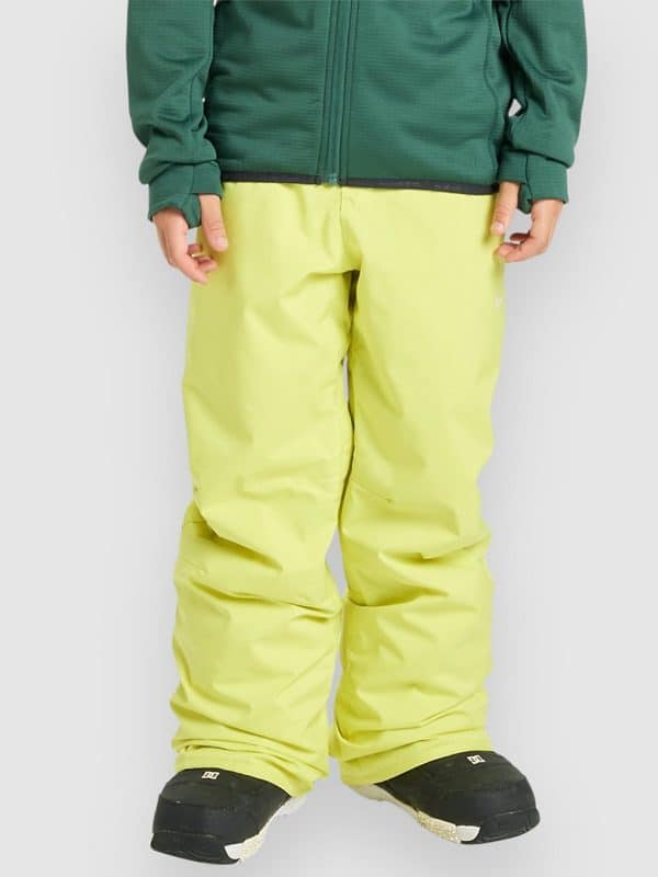 Quiksilver Estate Kids Hose yellow plum