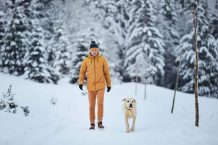 Hunde mit in den Winterurlaub mitnehmen